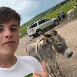 seanjozef on One Bite Pizza App