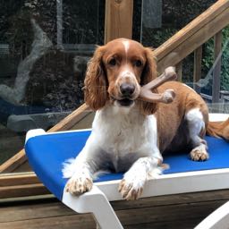 sean.gravelle on One Bite Pizza App