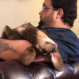 zach.shepherd on One Bite Pizza App