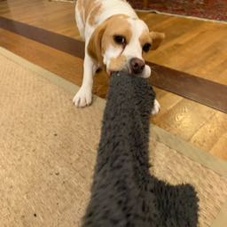 radford.swent on One Bite Pizza App