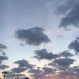 scny1990 on One Bite Pizza App