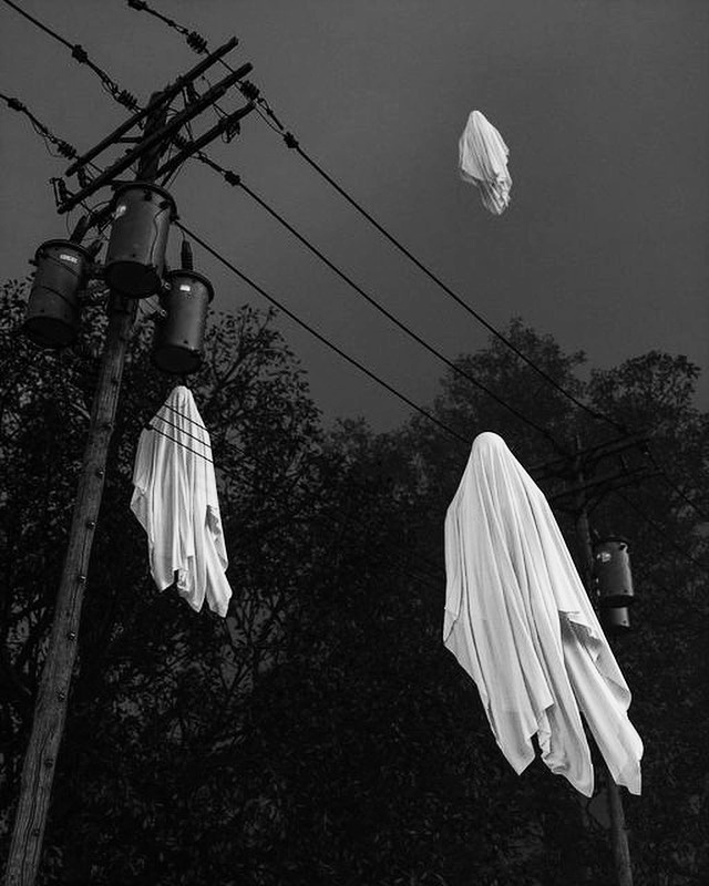 travis.reifke on One Bite Pizza App