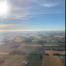 bgoods on One Bite Pizza App