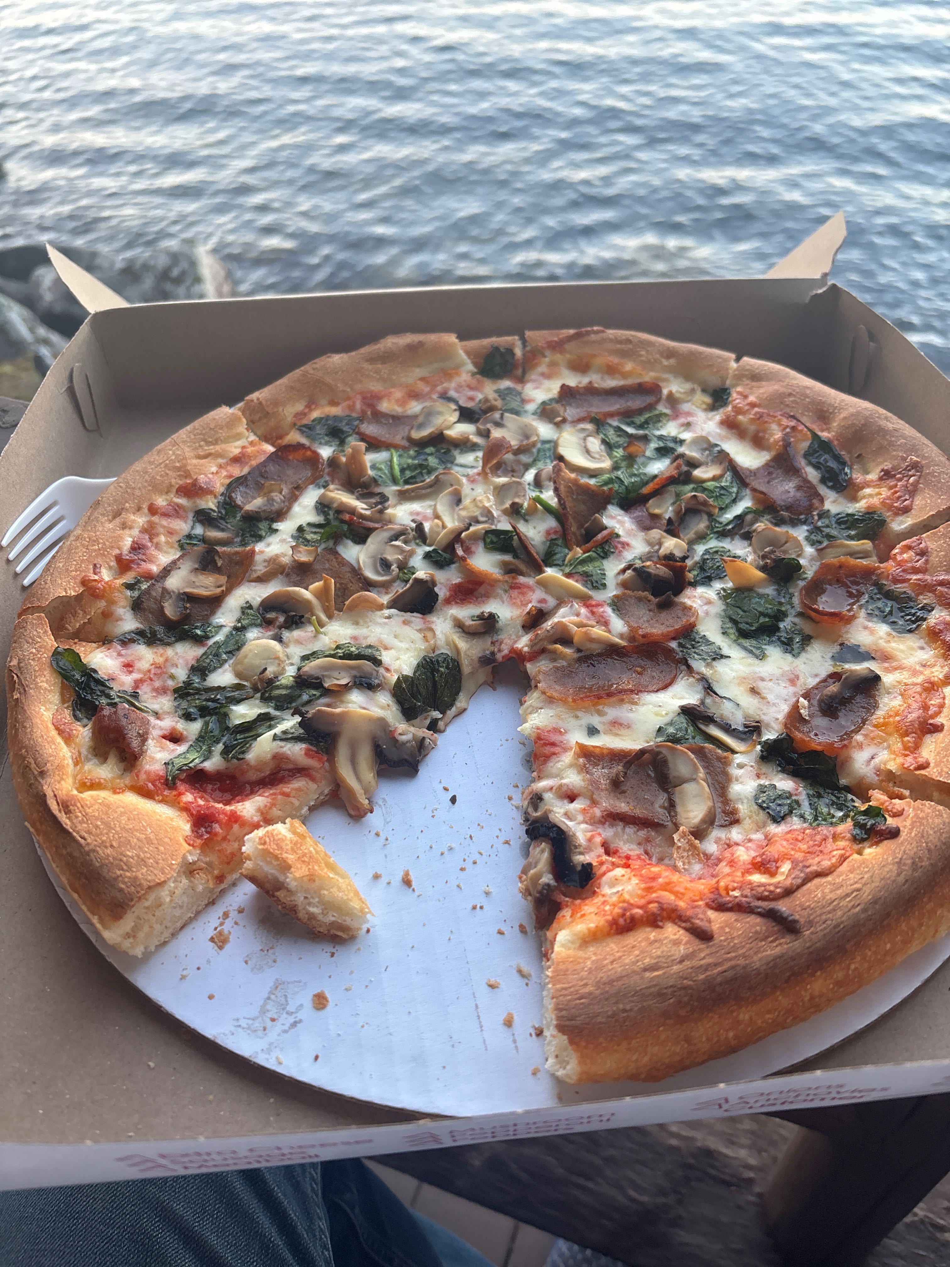 Pizza Review