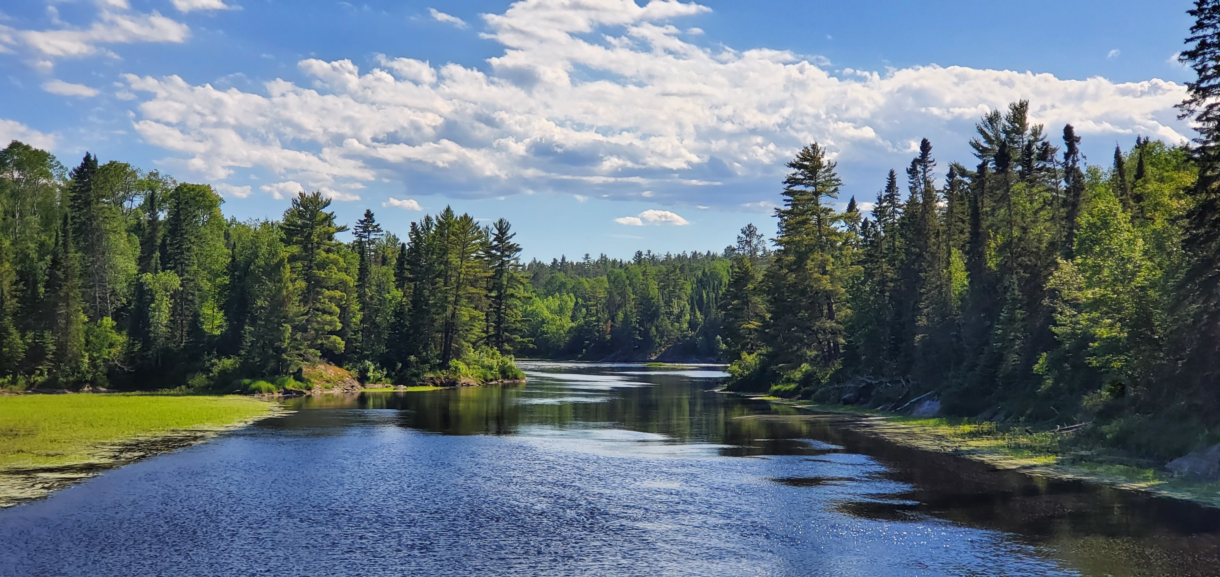 mike.rappleye on One Bite Pizza App