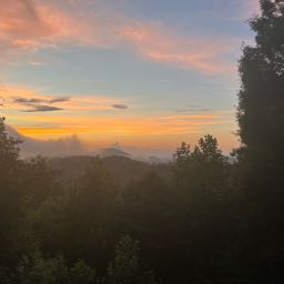 robots_are_evil on One Bite Pizza App