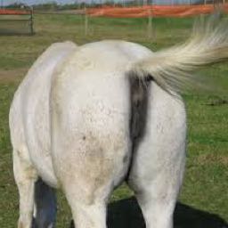 edward.quin on One Bite Pizza App