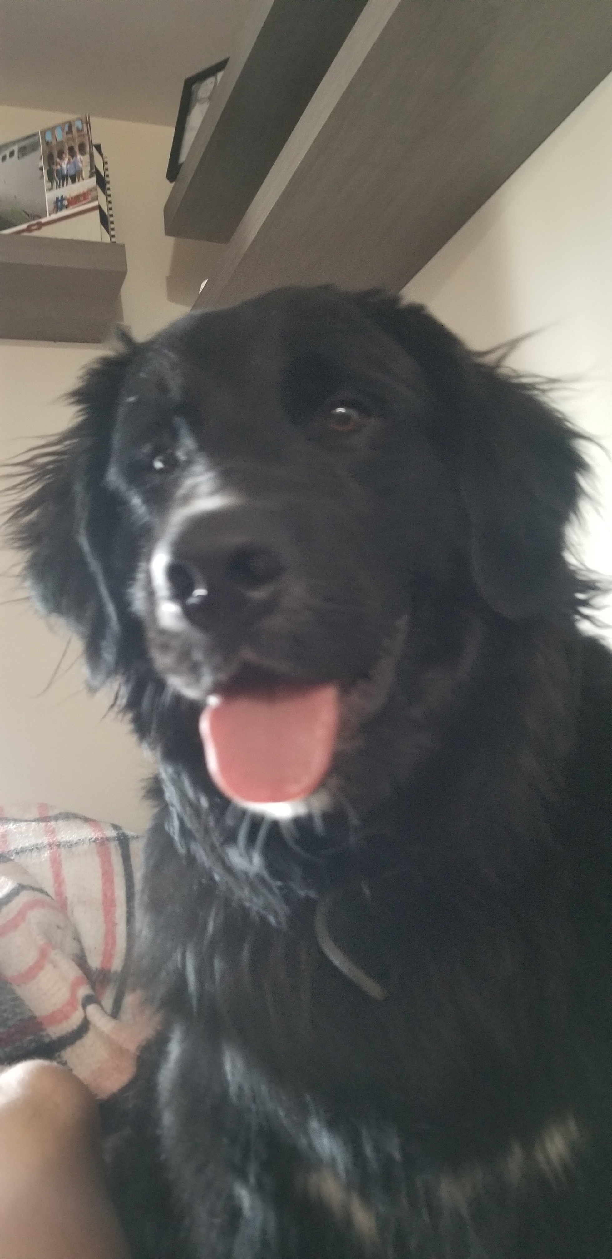 rich.vannetten on One Bite Pizza App