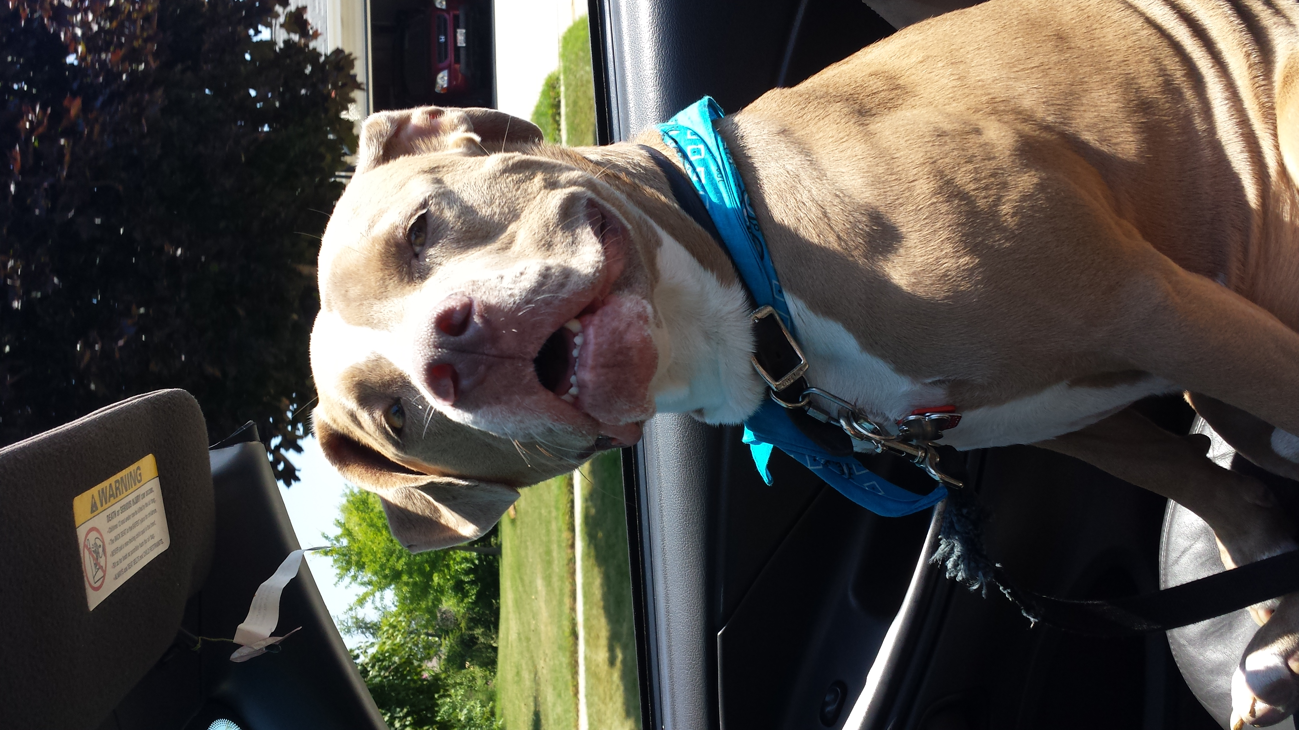 joe.renken on One Bite Pizza App