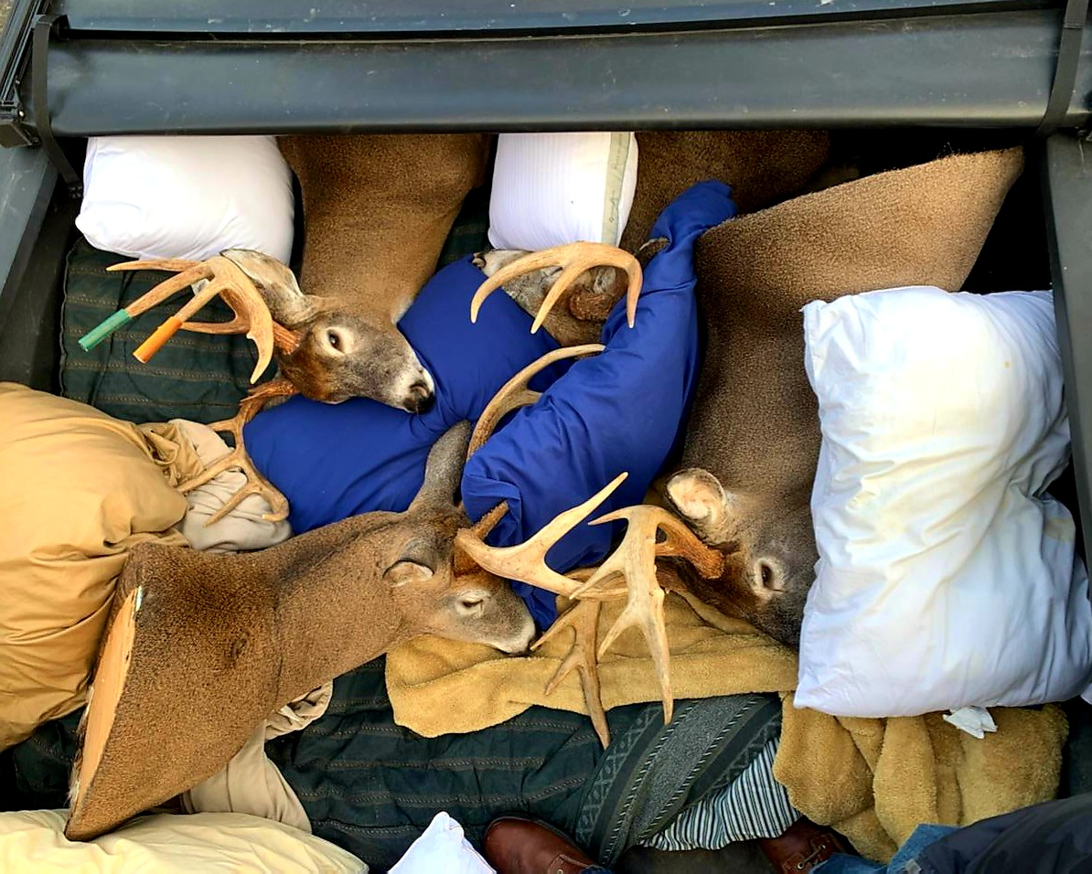 kevin.plante on One Bite Pizza App