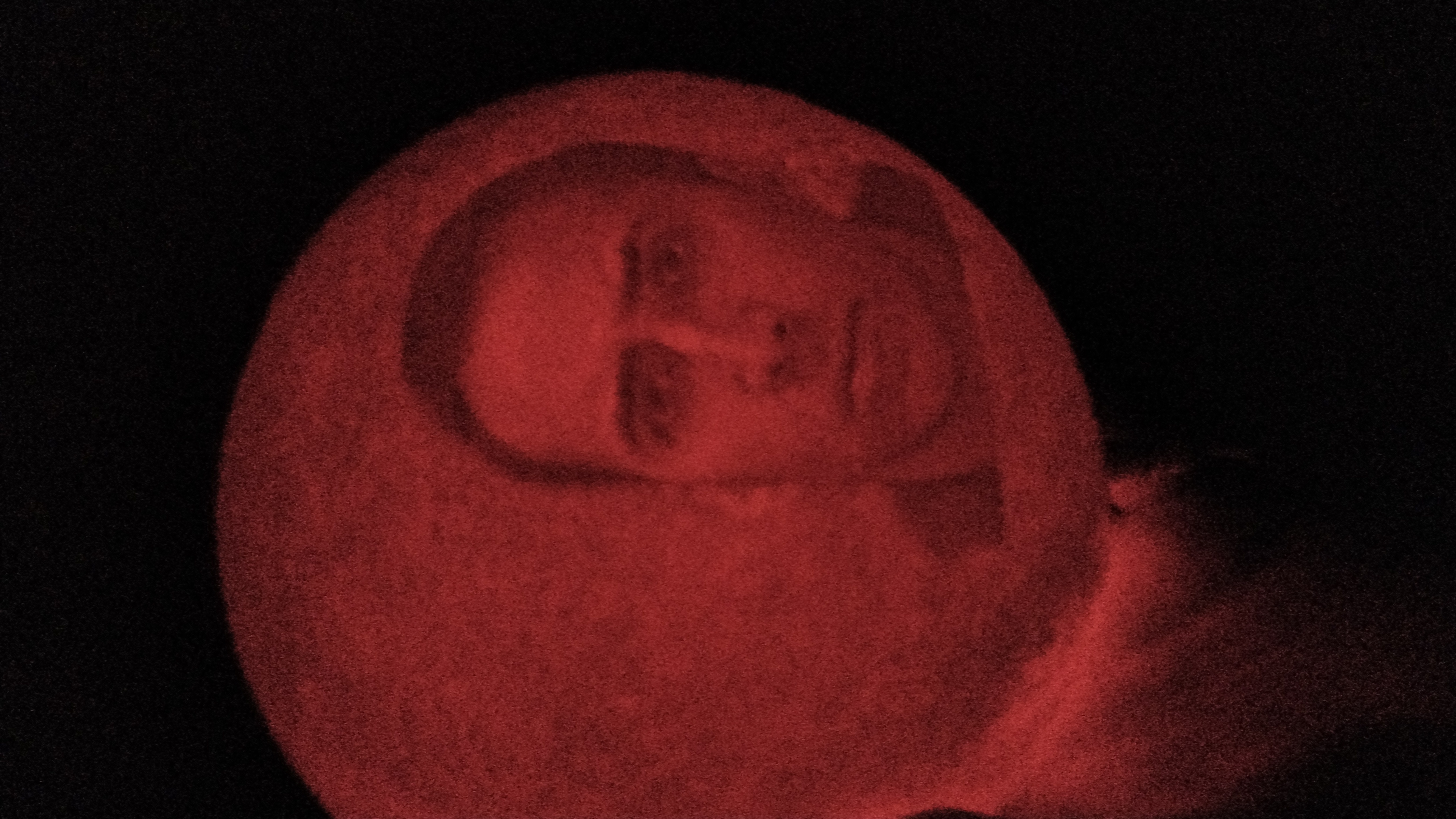 philip.brotherton on One Bite Pizza App