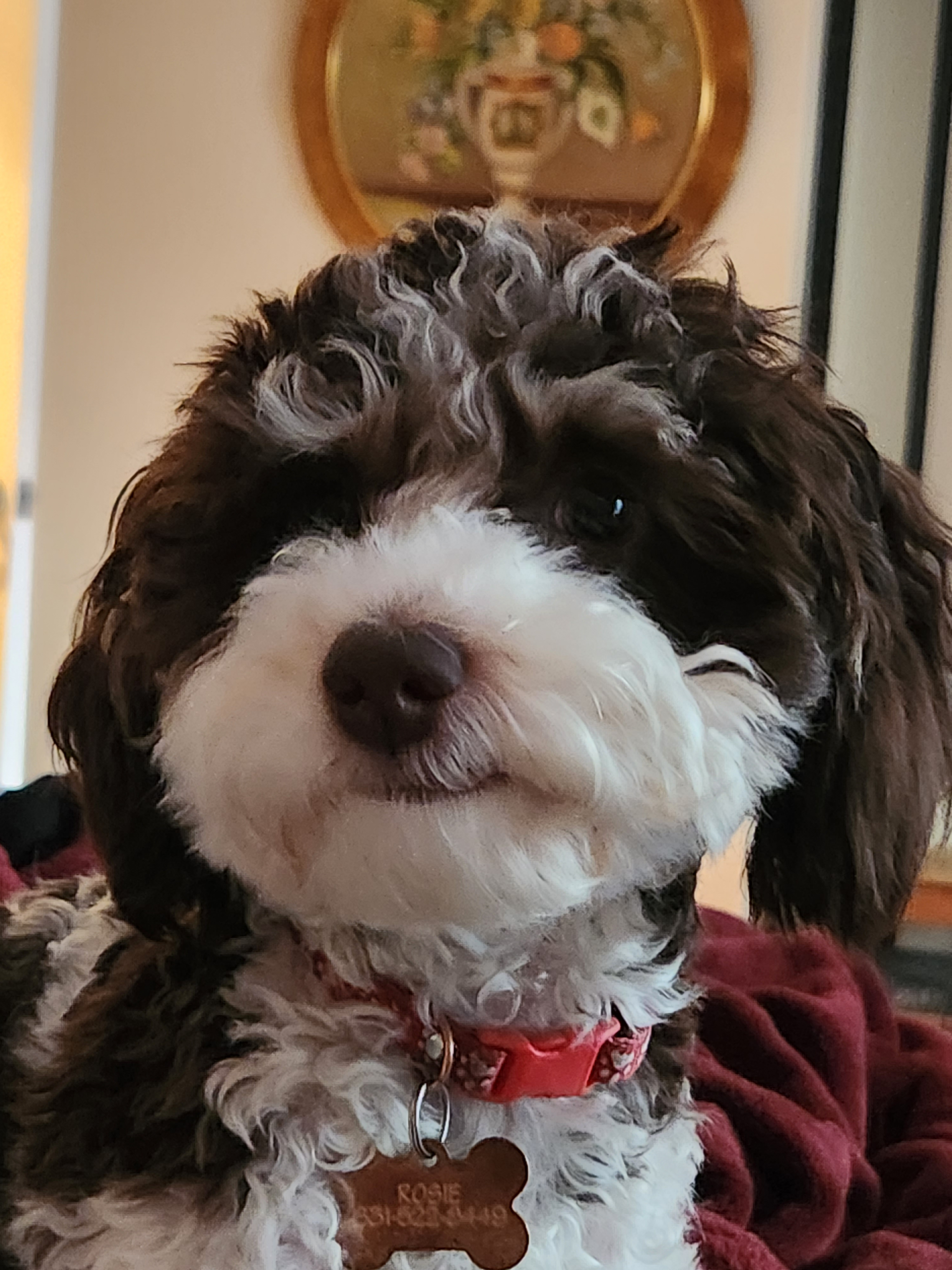 eric.peskin on One Bite Pizza App