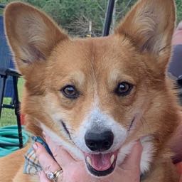 maggie.hansen on One Bite Pizza App