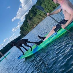 hayden.earnest on One Bite Pizza App