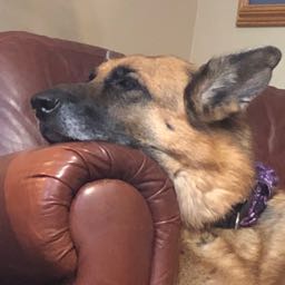 per.gretl on One Bite Pizza App