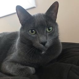 spiez on One Bite Pizza App