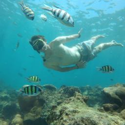 joseph.cason on One Bite Pizza App