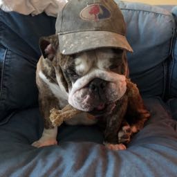 earnursalt on One Bite Pizza App