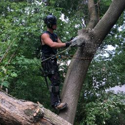 brandyn.scott on One Bite Pizza App