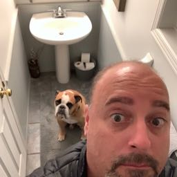 dmpm on One Bite Pizza App