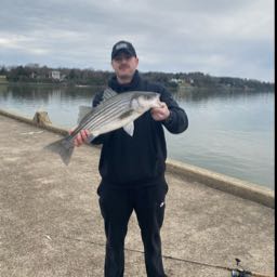 aaron.flannery on One Bite Pizza App