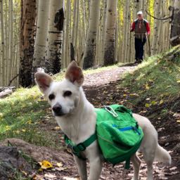 shawn.pahl on One Bite Pizza App