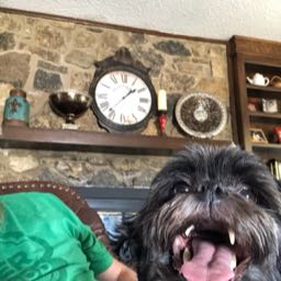 jason.wiley3 on One Bite Pizza App