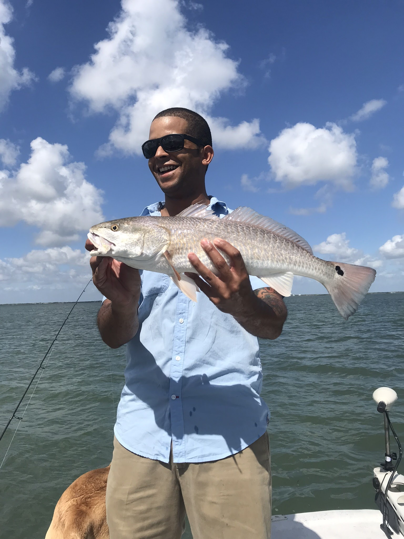 blkirishman on One Bite Pizza App