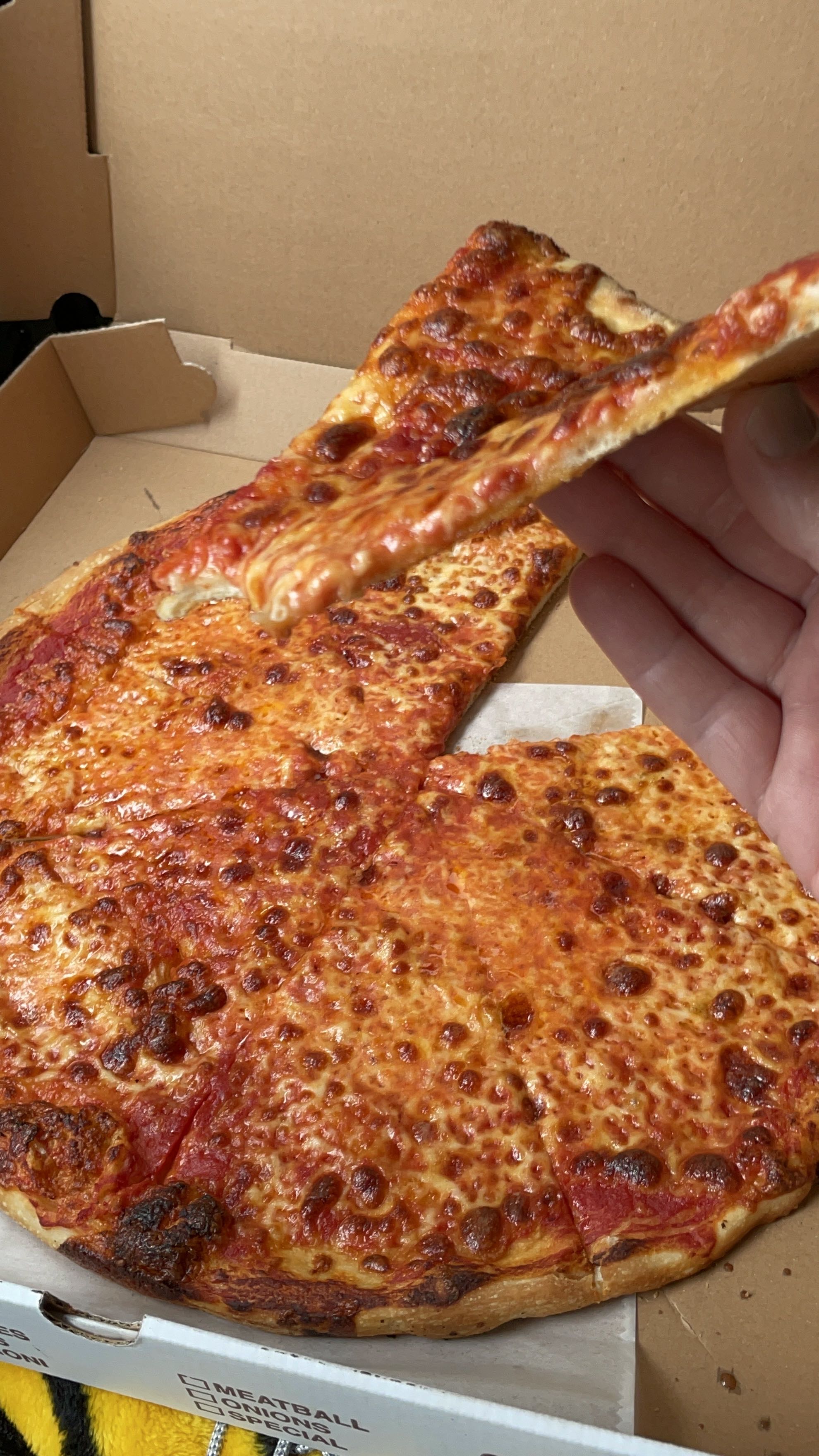 Pizza Review