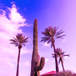 aaron.barthuly on One Bite Pizza App