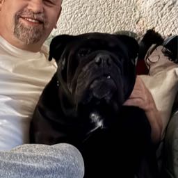 zack.levitt on One Bite Pizza App