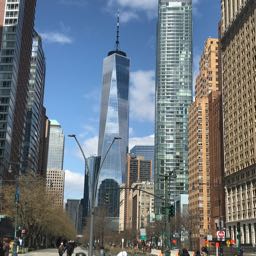 richard.cingire on One Bite Pizza App