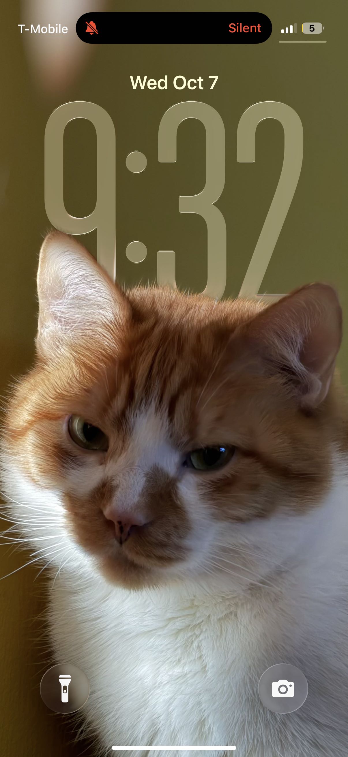 jonah.hewitt on One Bite Pizza App