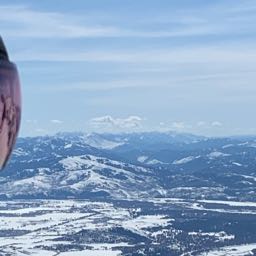 brody.dunn1 on One Bite Pizza App