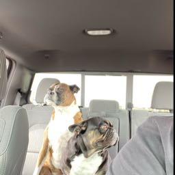 keith.diskin on One Bite Pizza App