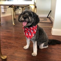 ben.sawtelle on One Bite Pizza App