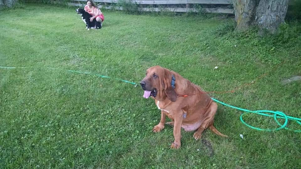 joshua.muncy on One Bite Pizza App