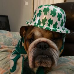 primo-maddog on One Bite Pizza App