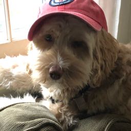 devin.melly on One Bite Pizza App