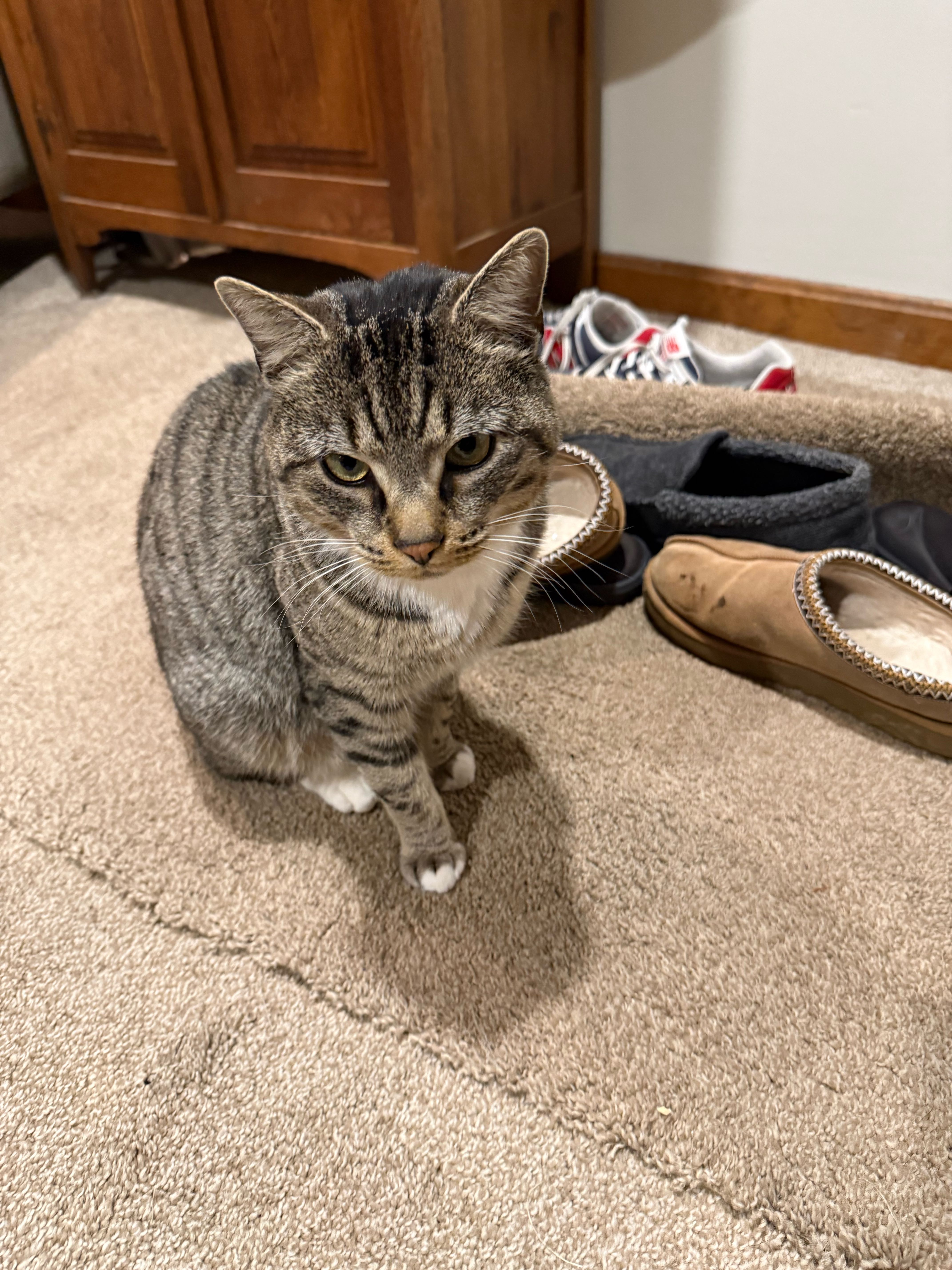 michael and lita.trusky on One Bite Pizza App