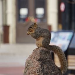 mike.giansanti on One Bite Pizza App