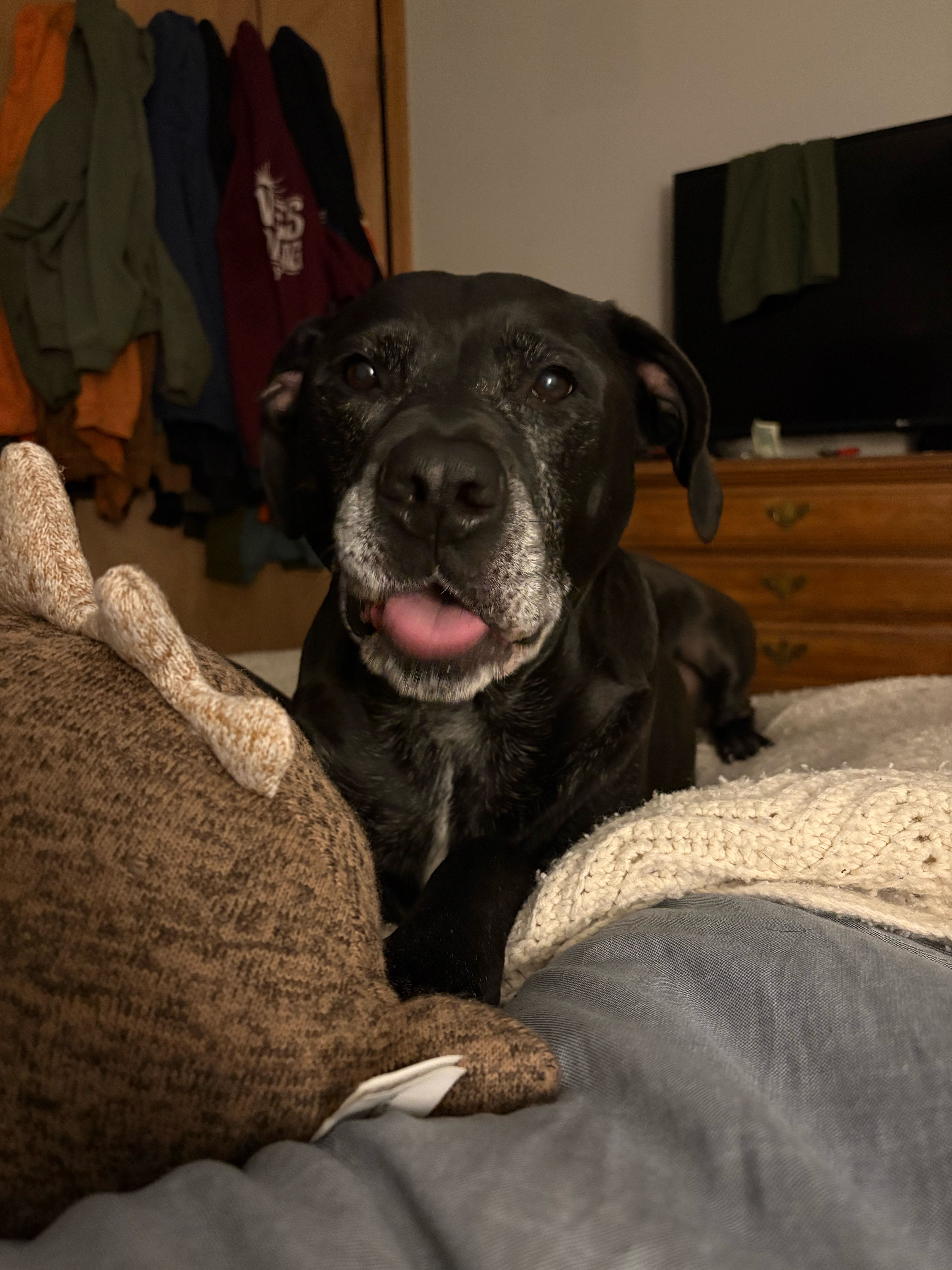 thebaby on One Bite Pizza App