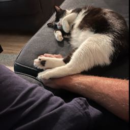 rick.sorrentino on One Bite Pizza App