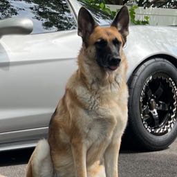 dom_c6 on One Bite Pizza App