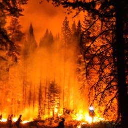 batman.batman on One Bite Pizza App