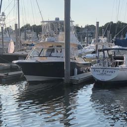 graham.ferrari on One Bite Pizza App