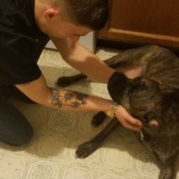 tye.gable on One Bite Pizza App