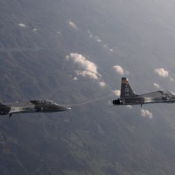 austin.gregory on One Bite Pizza App