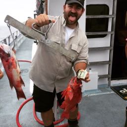 dapizzapapi on One Bite Pizza App