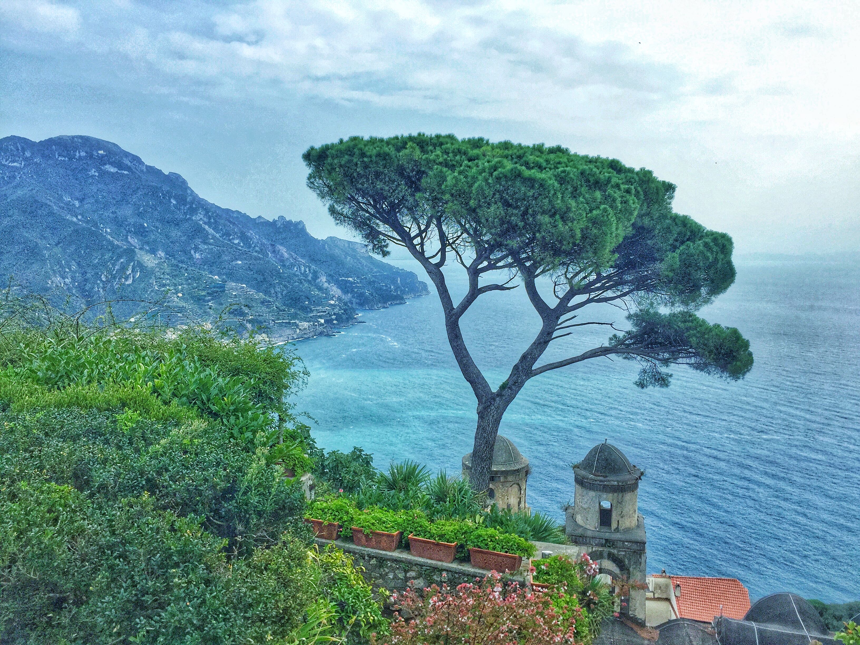 campaniatrained on One Bite Pizza App